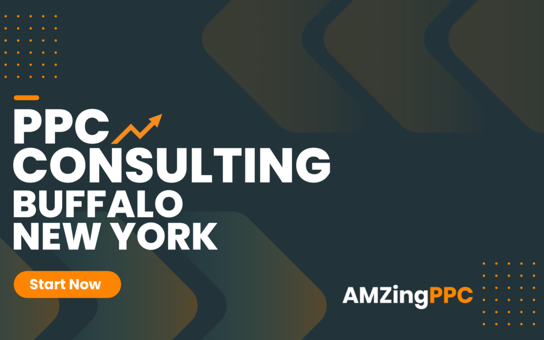 PPC Consulting Services in Buffalo New York